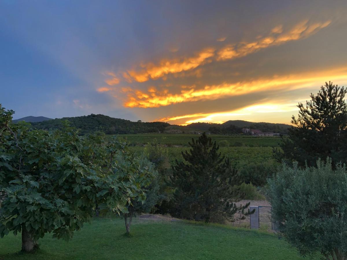 Gite De L'Auxineill Castelnou Eksteriør billede